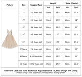 Flower Girl  Lace Party Dress Ruffles Backless Adjustable Straps Princess Holiday Dresses
