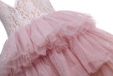 Flower Girls Strap Tutu Lace Lace Party Dress Light Pink Color - everprincess